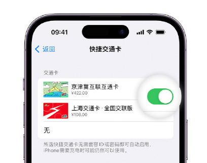 宝山apple维修点分享iPhone上更换Apple Pay快捷交通卡手绘卡面 