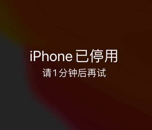 宝山苹果手机维修分享:iPhone 显示“不可用”或“已停用”怎么办？还能保留数据吗？ 