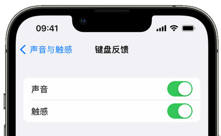 宝山苹果手机维修分享iPhone 14触感键盘使用方法 