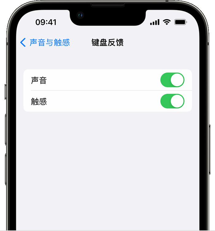 宝山苹果14维修店分享如何在 iPhone 14 机型中使用触感键盘 