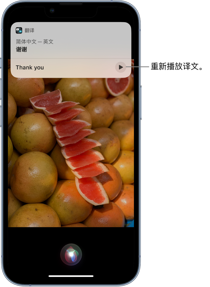 宝山苹果14维修分享 iPhone 14 机型中使用 Siri：了解 Siri 能帮你做什么 