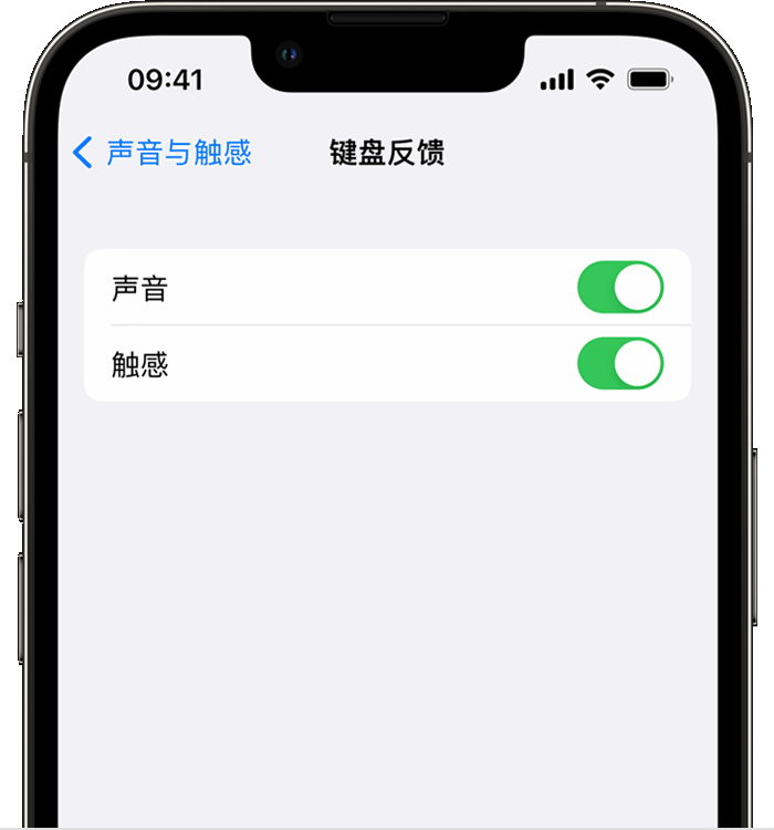宝山苹果14维修分享iPhone 14 系列机型如何开启键盘声音或触感反馈 