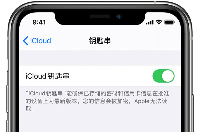 宝山苹果手机维修分享在 iPhone 上开启 iCloud 钥匙串之后会储存哪些信息 