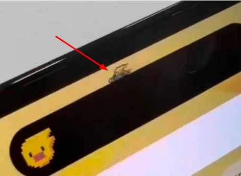 宝山苹果14维修分享iPhone 14 Pro Max灵动岛怎么养宠物 