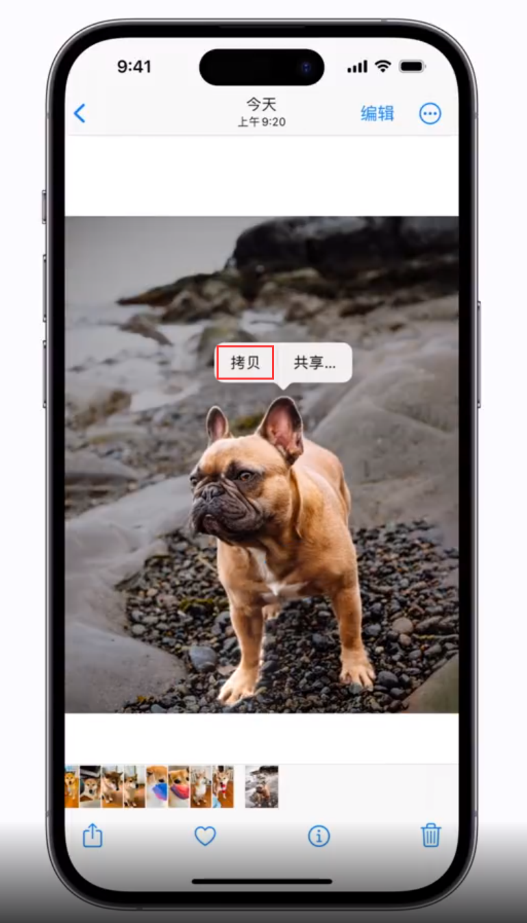 宝山苹果手机维修分享 iOS 16 自带一键抠图功能 