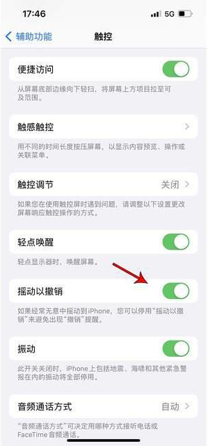 宝山苹果手机维修分享iPhone手机如何设置摇一摇删除文字 