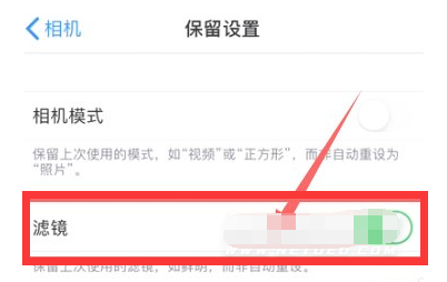 宝山苹果13维修分享iPhone13拍照有绿点是怎么回事 