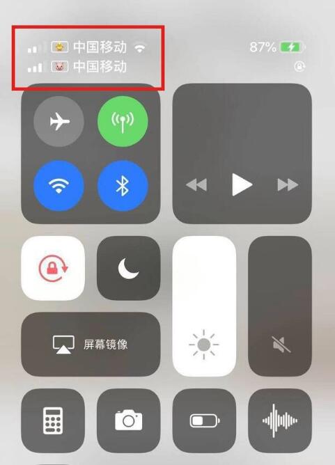 宝山苹果手机维修分享为 iPhone 12 双卡设置标签 